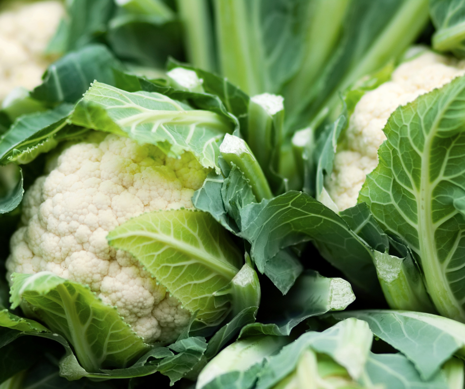 Heads of cauliflower with the green leaves attached