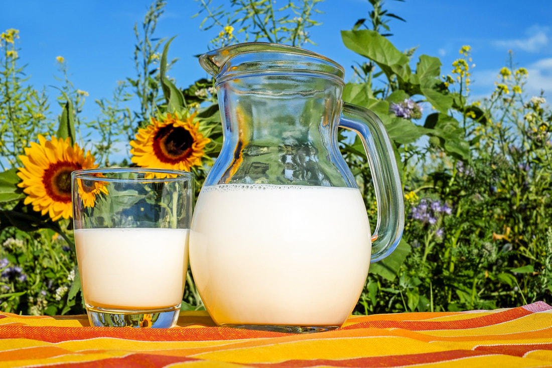 Pitcher and glass of milk on a yellow and orange table cloth in front of sunflowers