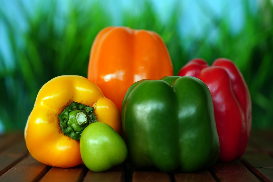Red, orange, yellow, and green bell peppers on a table with greenery behind them